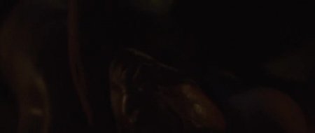 Кикбоксер (2016) Кикбоксер (2016)