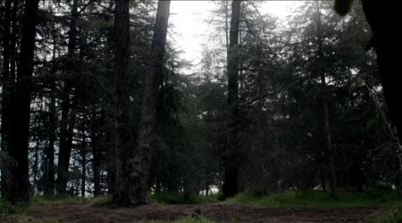 Максимум Райд (2016) Максимум Райд (2016)