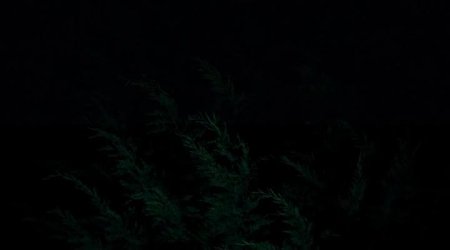 Я хулиган (2016) Я хулиган (2016)