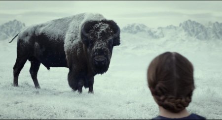 Альтамира (2016) Альтамира (2016)