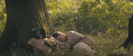 Наследие Викингов (2016)