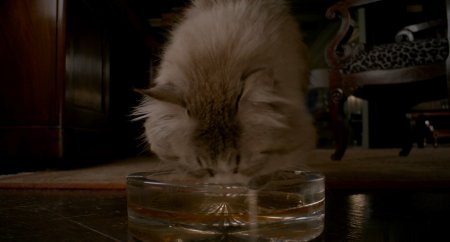 Девять жизней (2016)