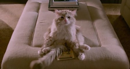 Девять жизней (2016) Девять жизней (2016)