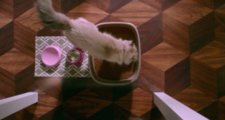 Девять жизней (2016) Девять жизней (2016)