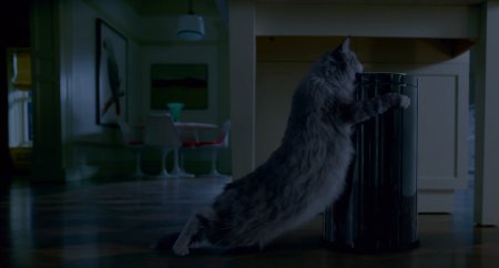 Девять жизней (2016) Девять жизней (2016)