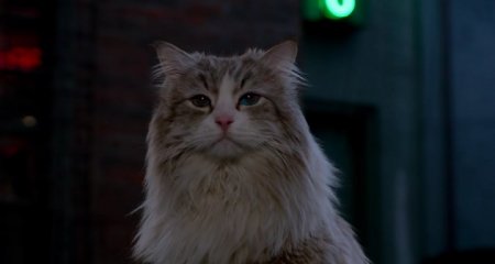 Девять жизней (2016) Девять жизней (2016)