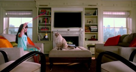 Девять жизней (2016) Девять жизней (2016)