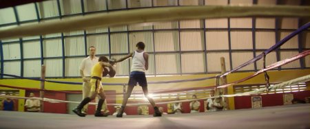 Каменные кулаки (2016) Каменные кулаки (2016)