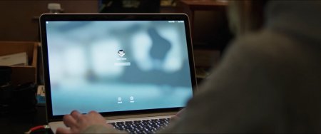 Уличные коты (2016)