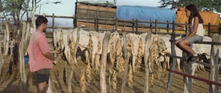 Неоновый вол (2015)