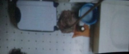 Дары смерти (2015)