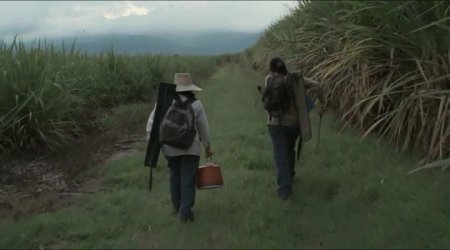 Земля и тень (2015)