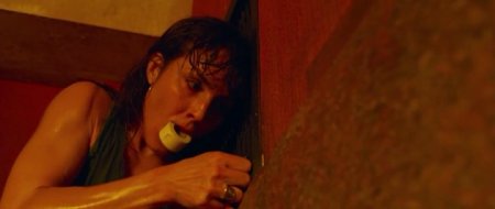 Трансформация (2016) Трансформация (2016)