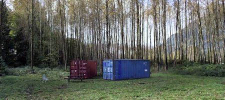 Даже у ягнят есть зубы (2015) Даже у ягнят есть зубы (2015)