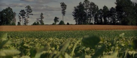 Лавинг (2016) Лавинг (2016)