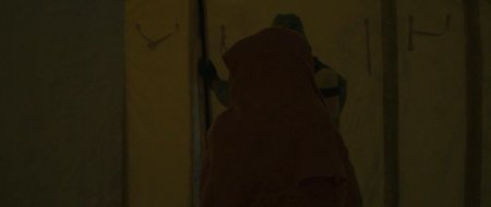 Прибытие (2016)