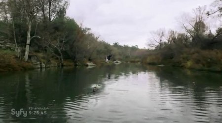 Акульи плотины (2016) Акульи плотины (2016)