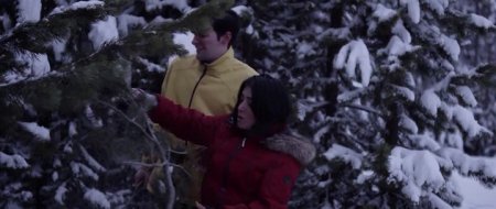 Зов волка (2016) Зов волка (2016)