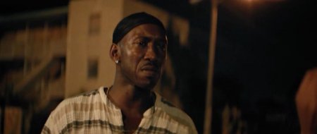 Лунный свет (2016) Лунный свет (2016)