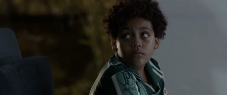 Собачий мир (2016) Собачий мир (2016)