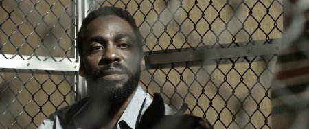 Собачий мир (2016) Собачий мир (2016)