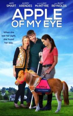 Фильм Зеница ока (2017)