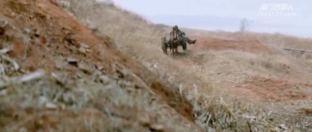 Железнодорожные тигры (2016) Железнодорожные тигры (2016)