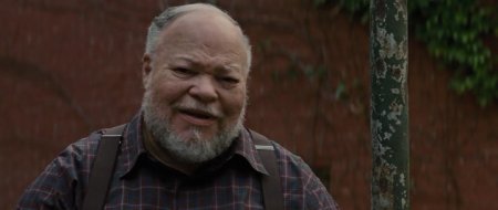 Ограды (2016) Ограды (2016)