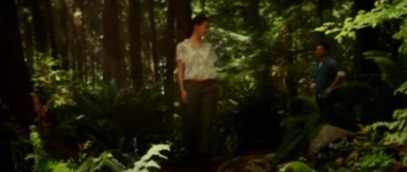 Хижина (2017) Хижина (2017)