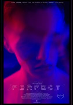 Фильм Идеальный(2018)