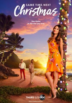 Фильм В то же время на следующее Рождество (2019)