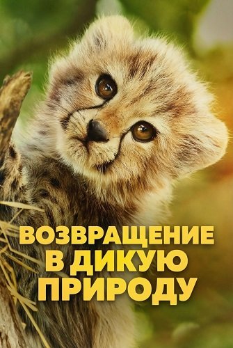 Фильм Возвращение в дикую природу (1 сезон)